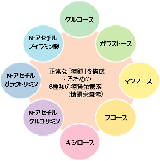 �����h�{�f�@�V�A���_�@�t�R�[�X�@�}���m�[�X�@�L�V���[�X�@�O���R�[�X�@�K���N�g�[�X�@